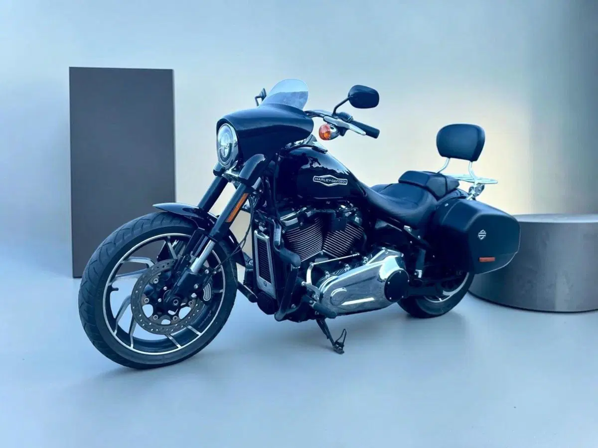 Harley-Davidson 107 Sport Glide (2018 - 20) (3)