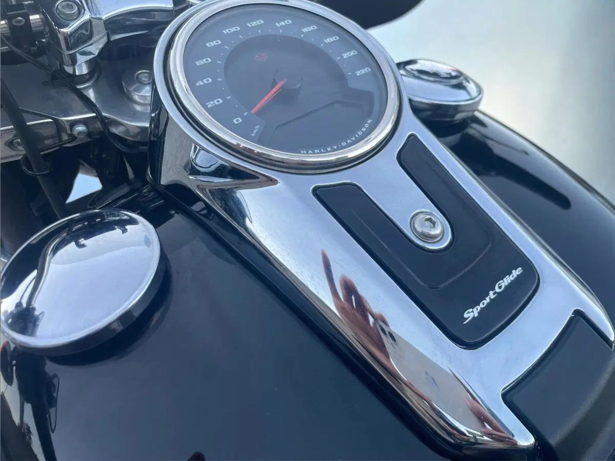 Harley-Davidson 107 Sport Glide (2018 - 20) (8)