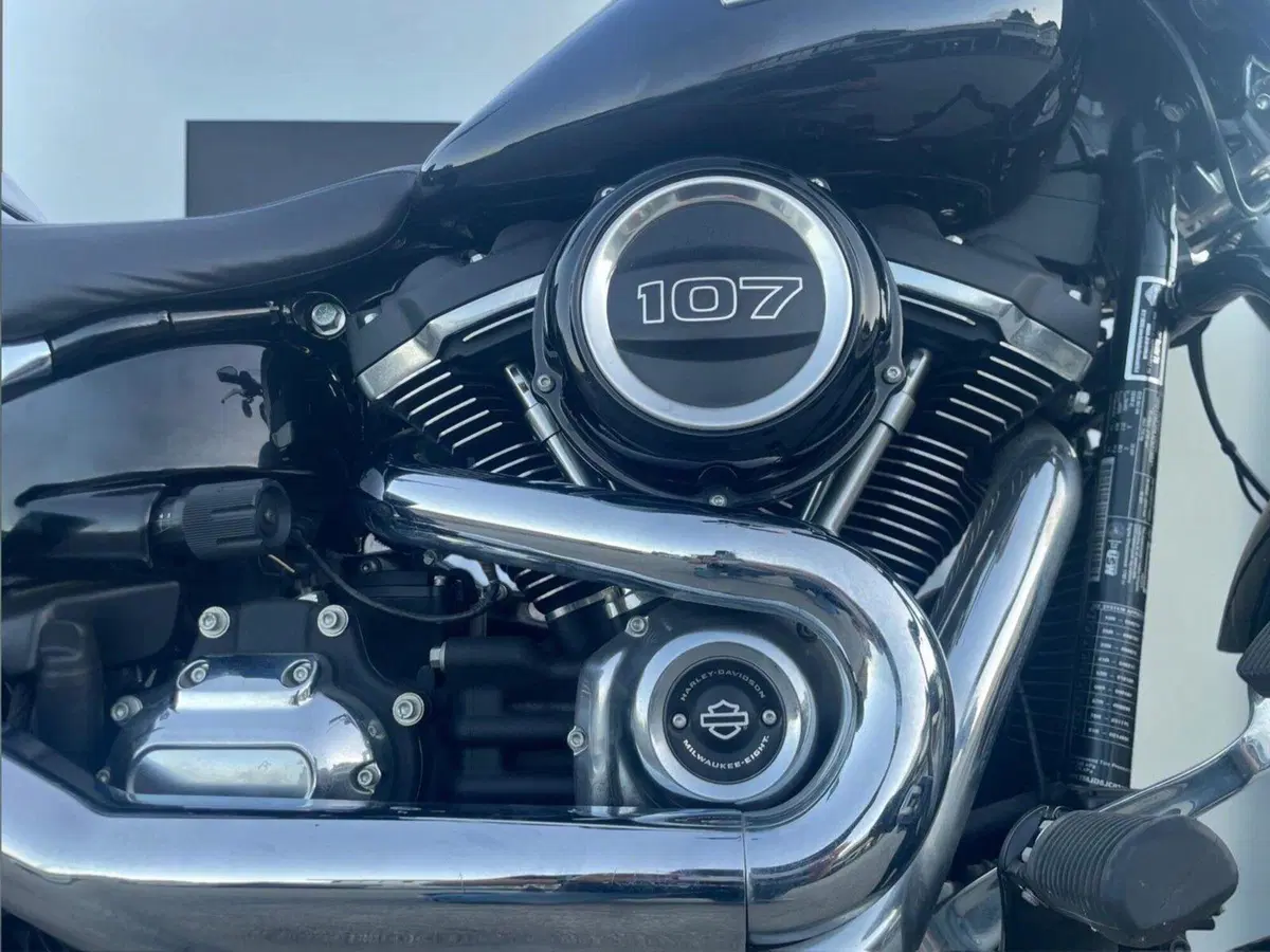 Harley-Davidson 107 Sport Glide (2018 - 20) (9)