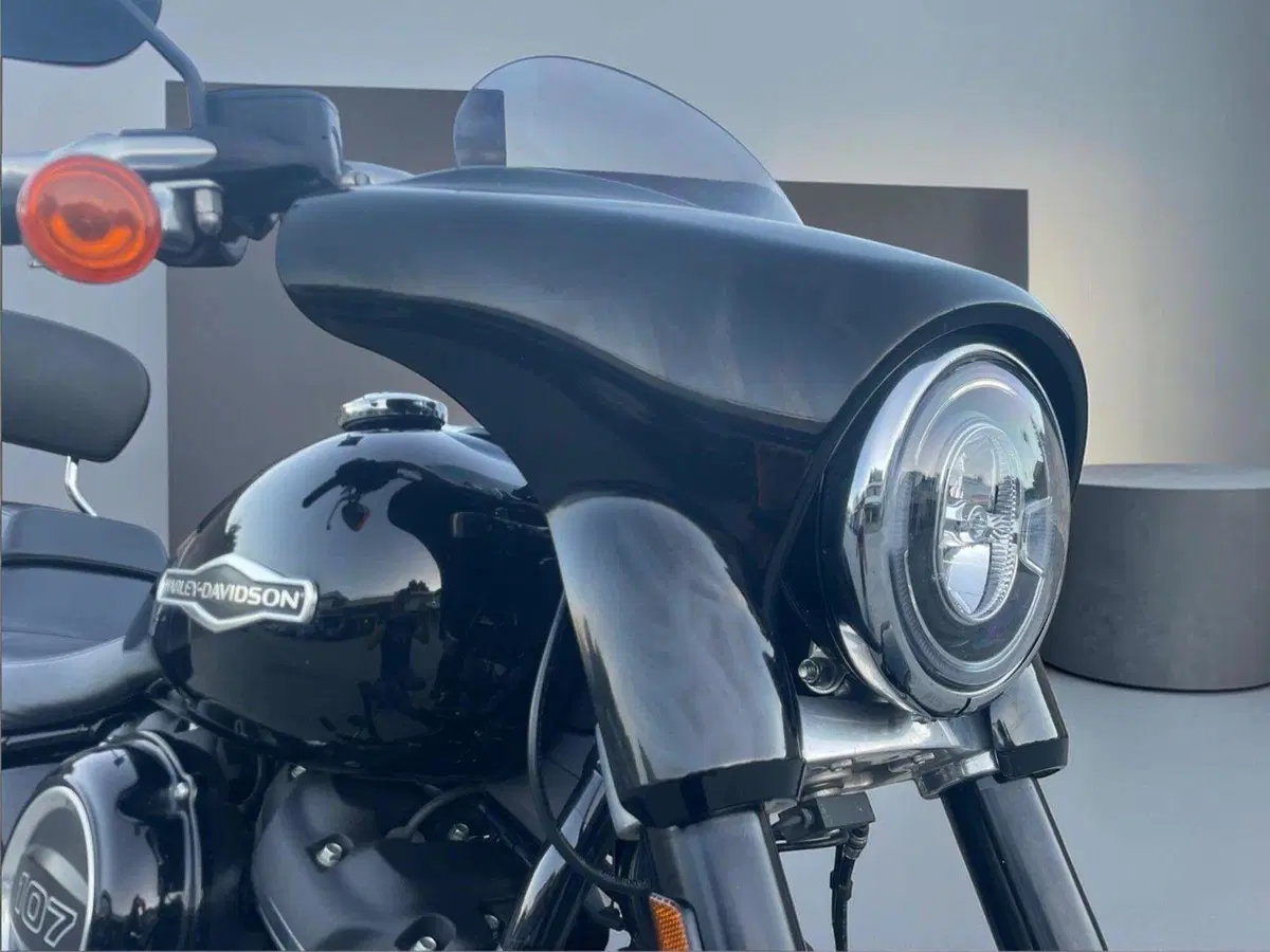Harley-Davidson 107 Sport Glide (2018 - 20) (10)