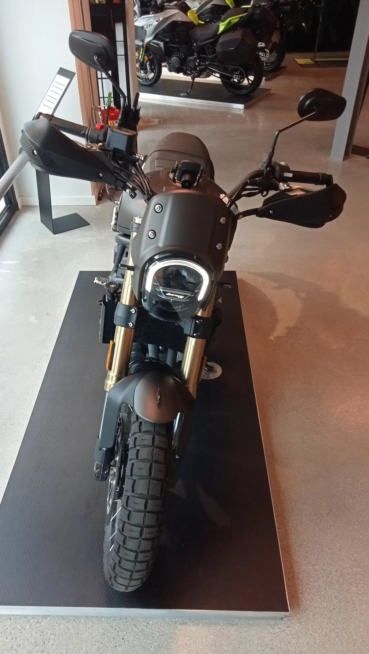 Benelli Leoncino 800 Trail (2022 - 26) (7)