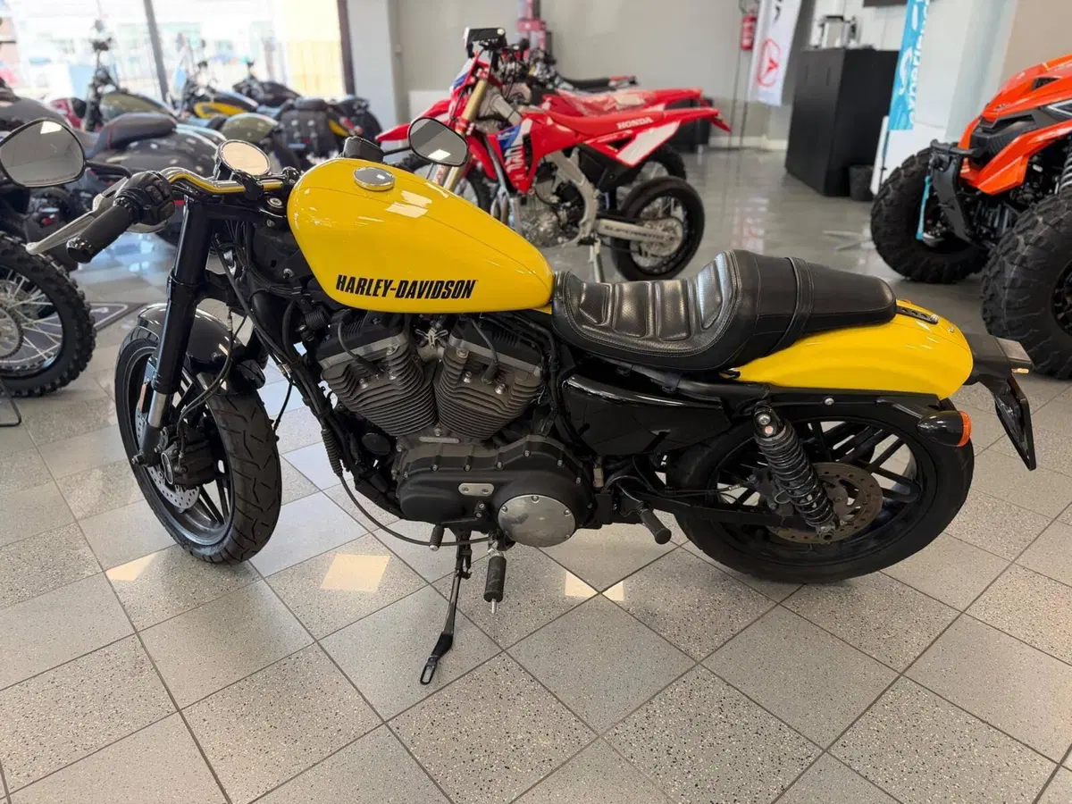 Harley-Davidson XL 1200 CX Roadster (2016 - 18) (5)
