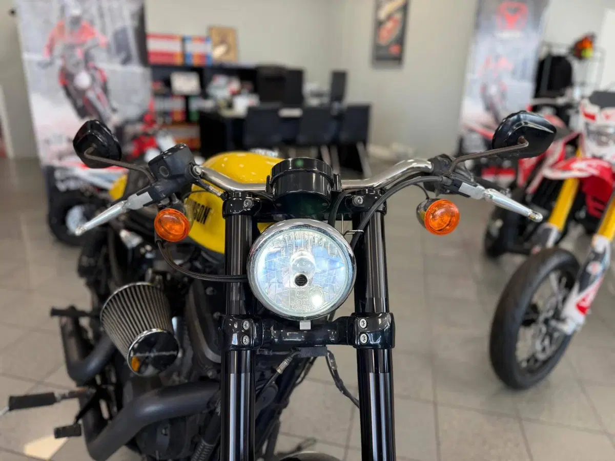 Harley-Davidson XL 1200 CX Roadster (2016 - 18) (8)