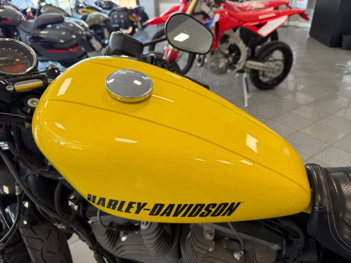 Harley-Davidson XL 1200 CX Roadster (2016 - 18) (12)