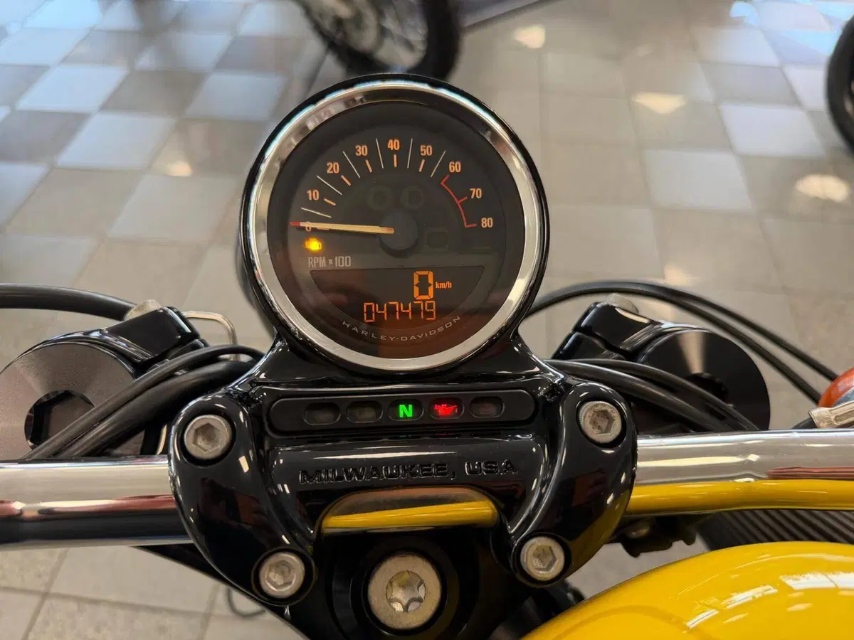 Harley-Davidson XL 1200 CX Roadster (2016 - 18) (13)