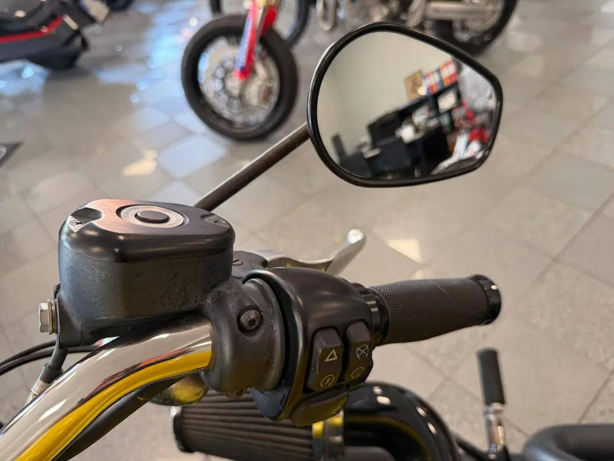 Harley-Davidson XL 1200 CX Roadster (2016 - 18) (14)