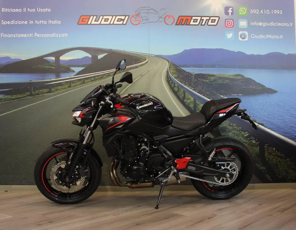 Kawasaki Z 650 (2021 - 24) (3)
