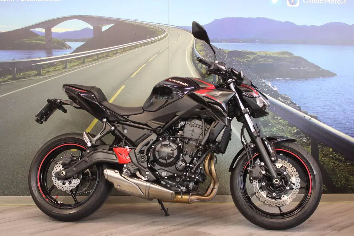 Kawasaki Z 650 (2021 - 24) (5)