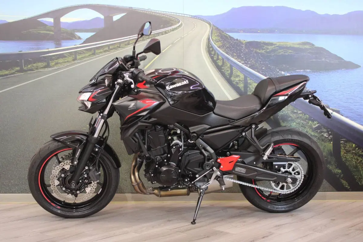 Kawasaki Z 650 (2021 - 24) (7)