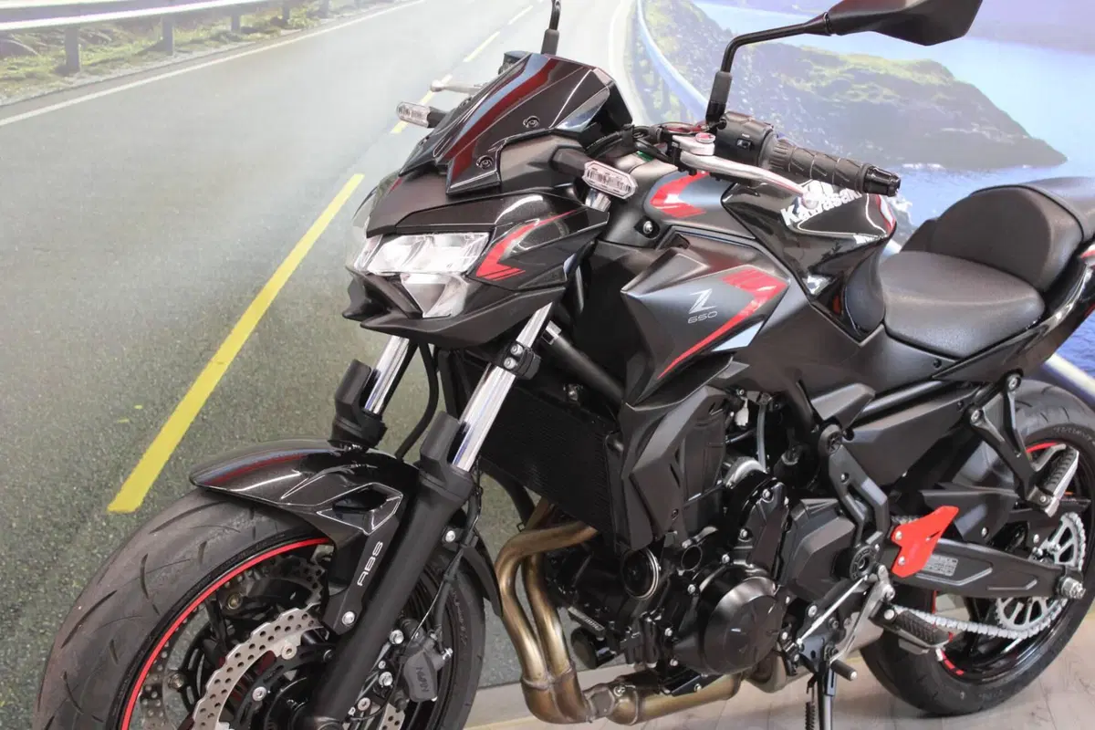 Kawasaki Z 650 (2021 - 24) (8)