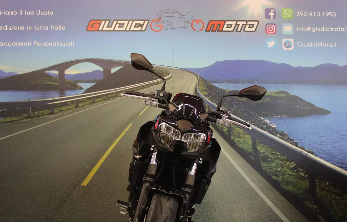 Kawasaki Z 650 (2021 - 24) (9)