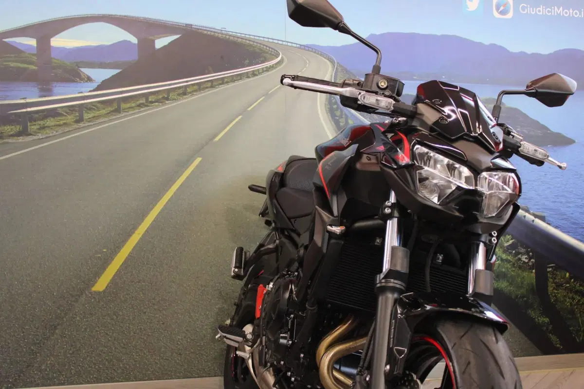 Kawasaki Z 650 (2021 - 24) (10)