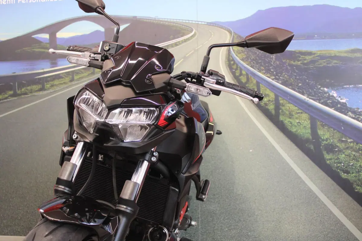 Kawasaki Z 650 (2021 - 24) (11)