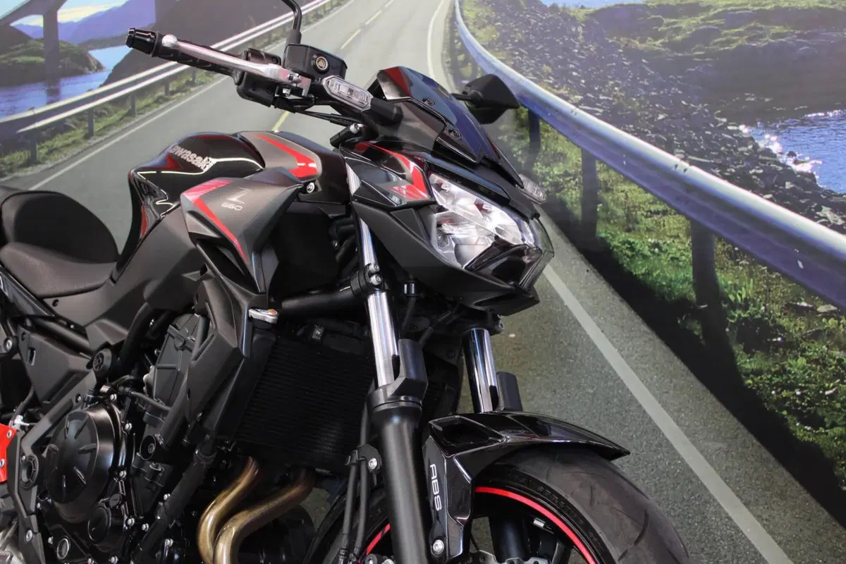 Kawasaki Z 650 (2021 - 24) (12)