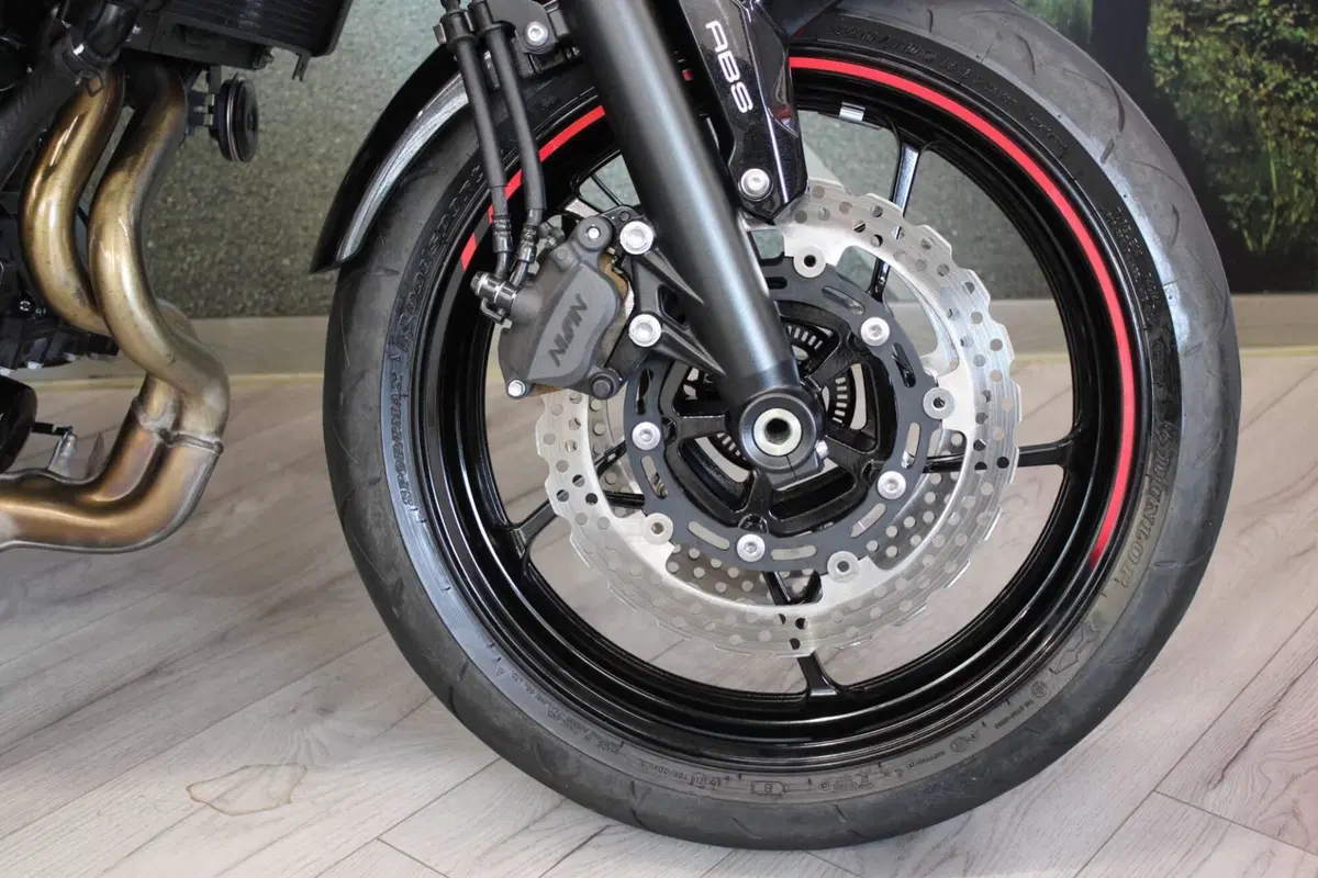 Kawasaki Z 650 (2021 - 24) (13)