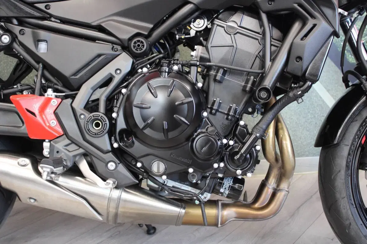 Kawasaki Z 650 (2021 - 24) (14)