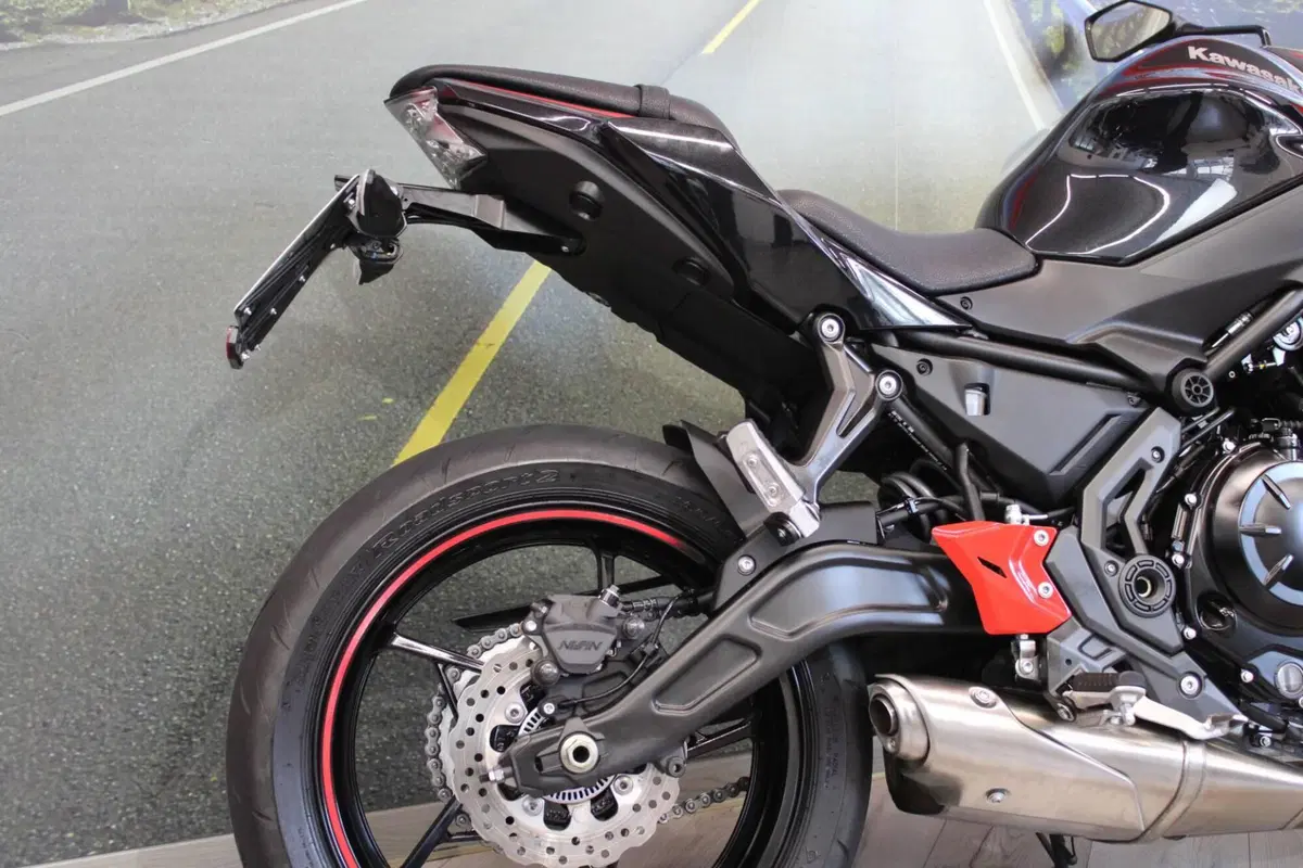 Kawasaki Z 650 (2021 - 24) (15)