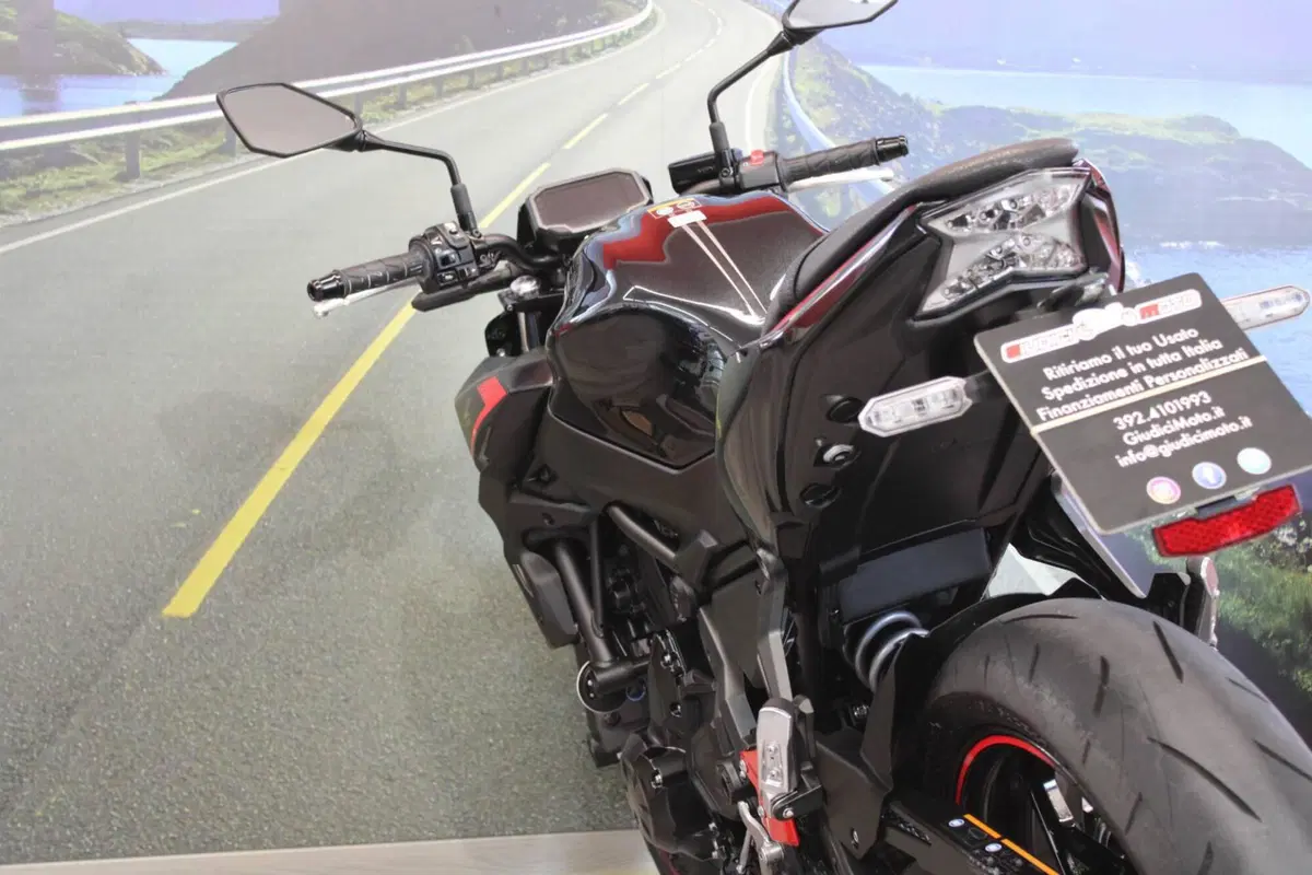 Kawasaki Z 650 (2021 - 24) (17)