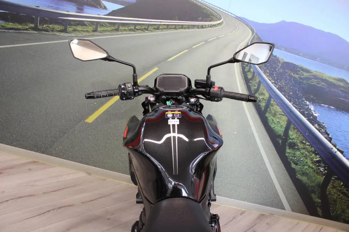 Kawasaki Z 650 (2021 - 24) (20)