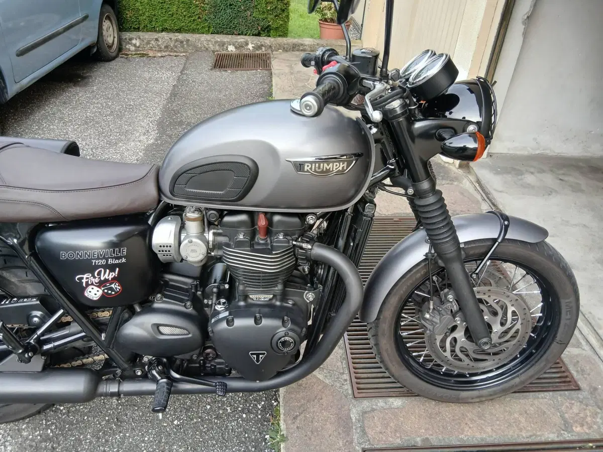 Triumph Bonneville T120 Black (2017 - 20) (9)