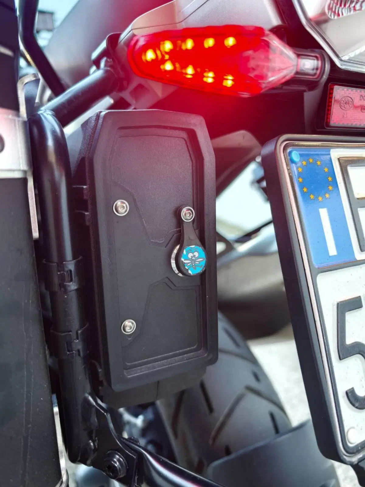 Bmw R 1250 GS Adventure (2021 - 24) (11)