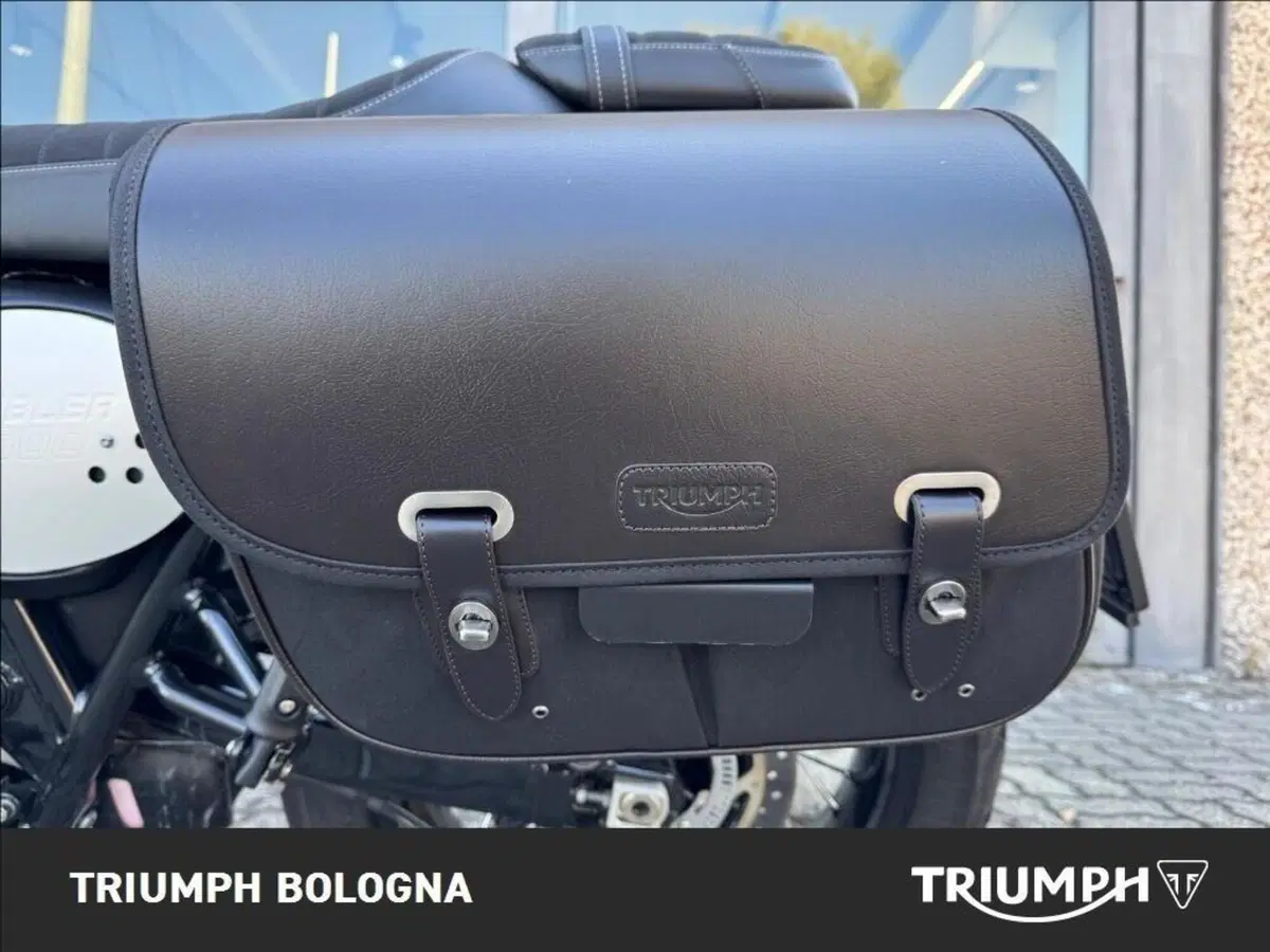 Triumph Scrambler 900 (2023 - 25) (4)