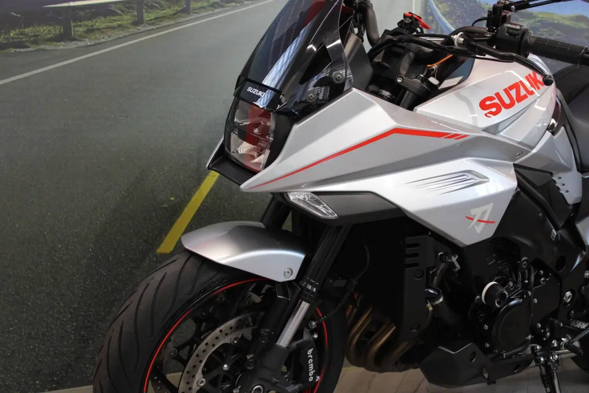 Suzuki Katana 1000 Jindachi (2019 - 20) (8)