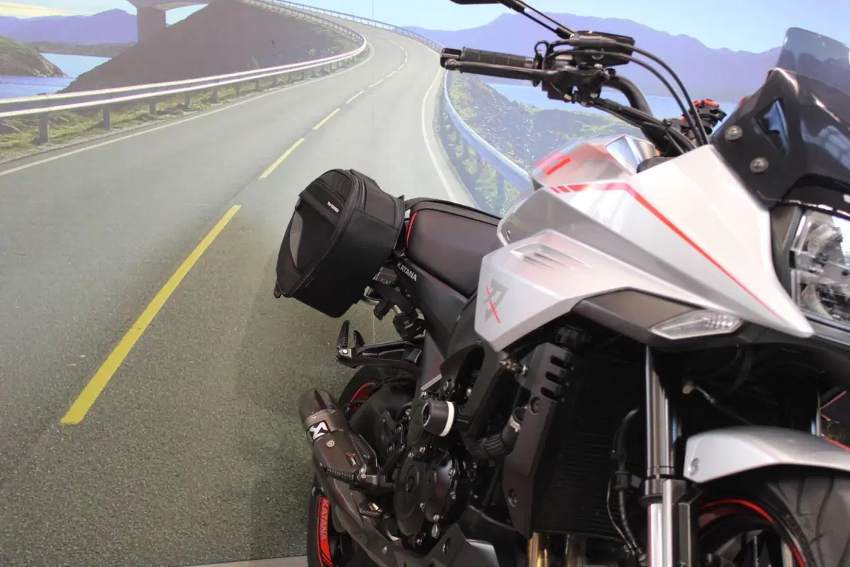 Suzuki Katana 1000 Jindachi (2019 - 20) (9)