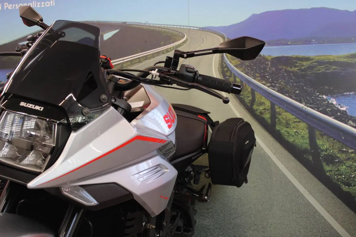 Suzuki Katana 1000 Jindachi (2019 - 20) (10)