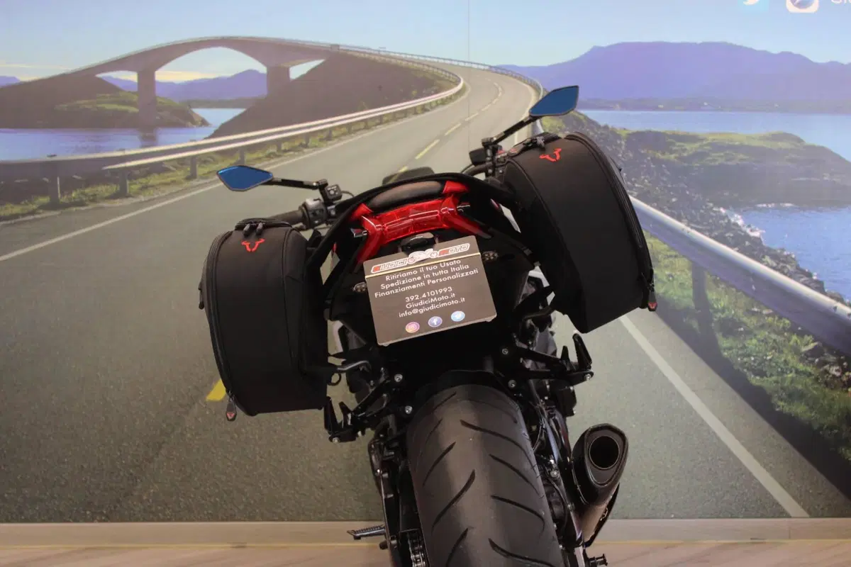 Suzuki Katana 1000 Jindachi (2019 - 20) (15)