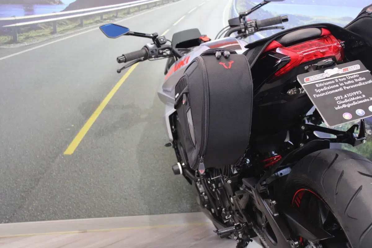 Suzuki Katana 1000 Jindachi (2019 - 20) (16)