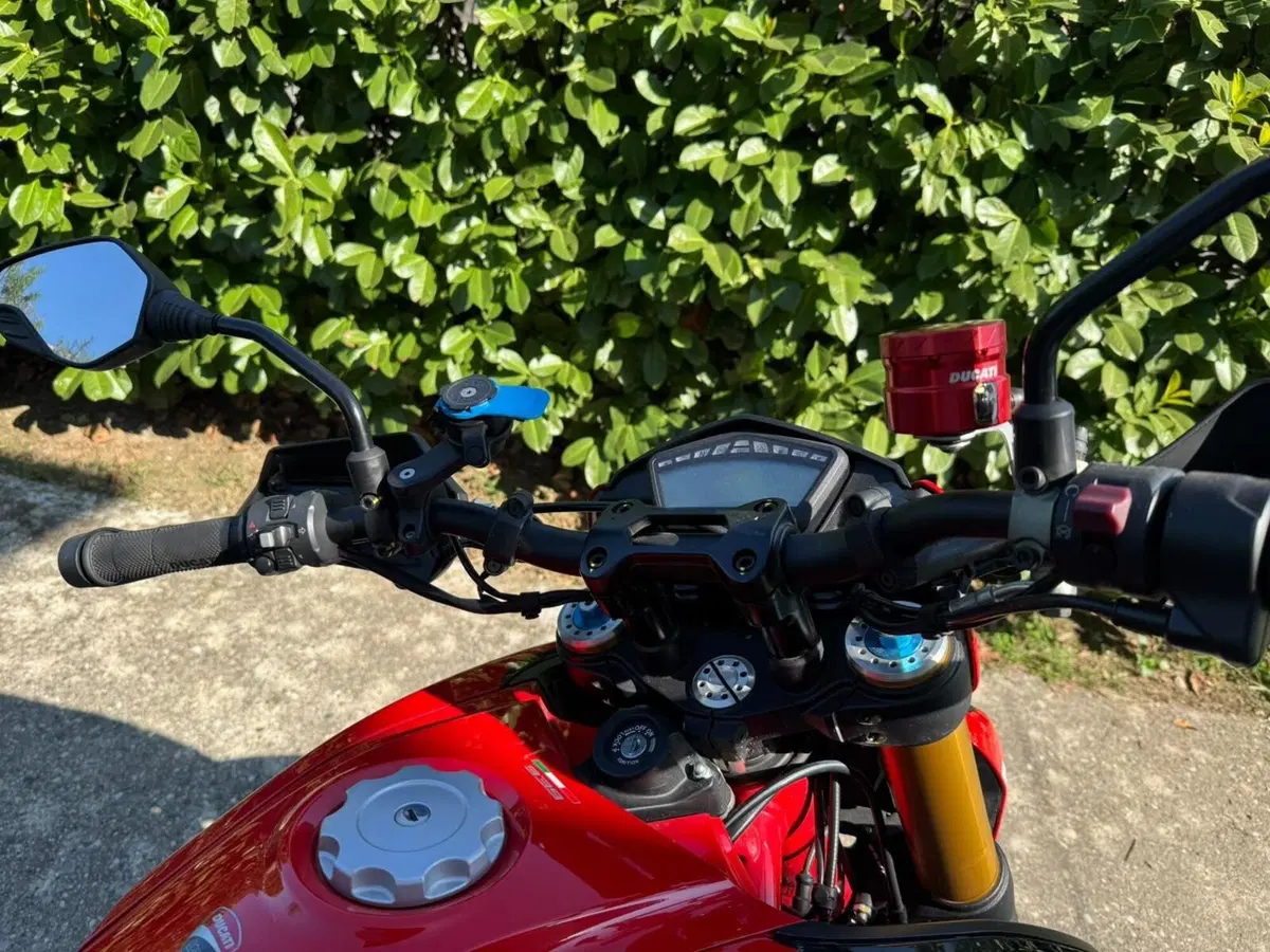 Ducati Hypermotard 939 SP (2016 - 18) (2)