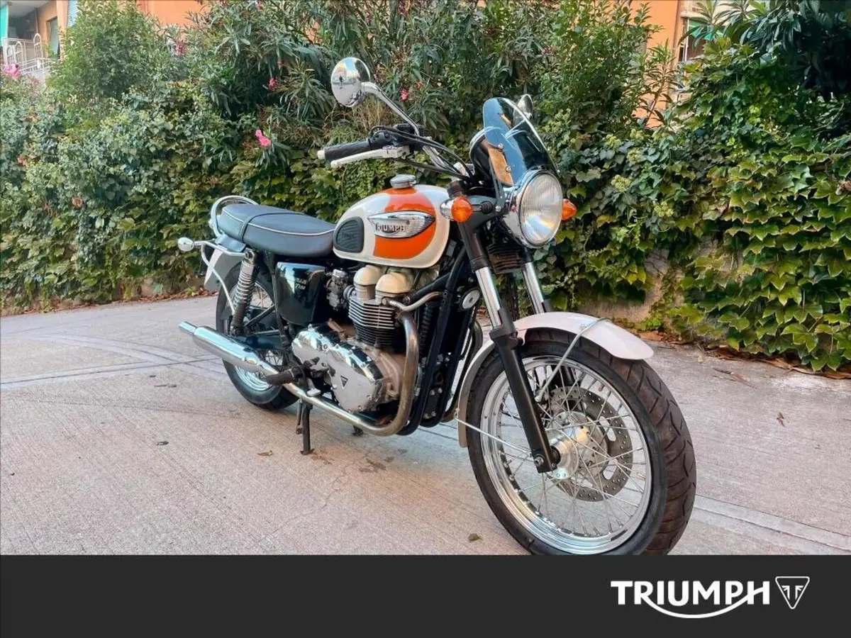 Triumph Bonneville T100 (2001 - 07)