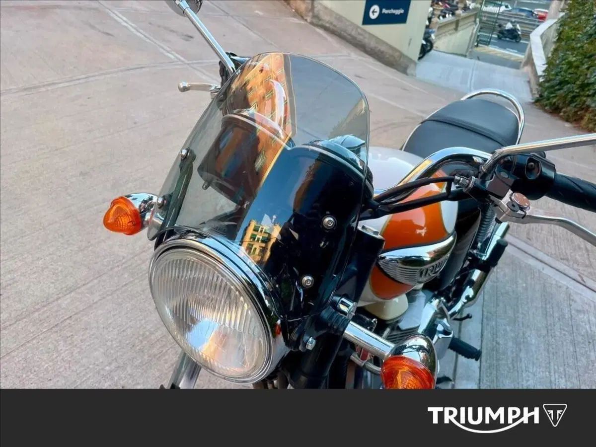 Triumph Bonneville T100 (2001 - 07) (6)