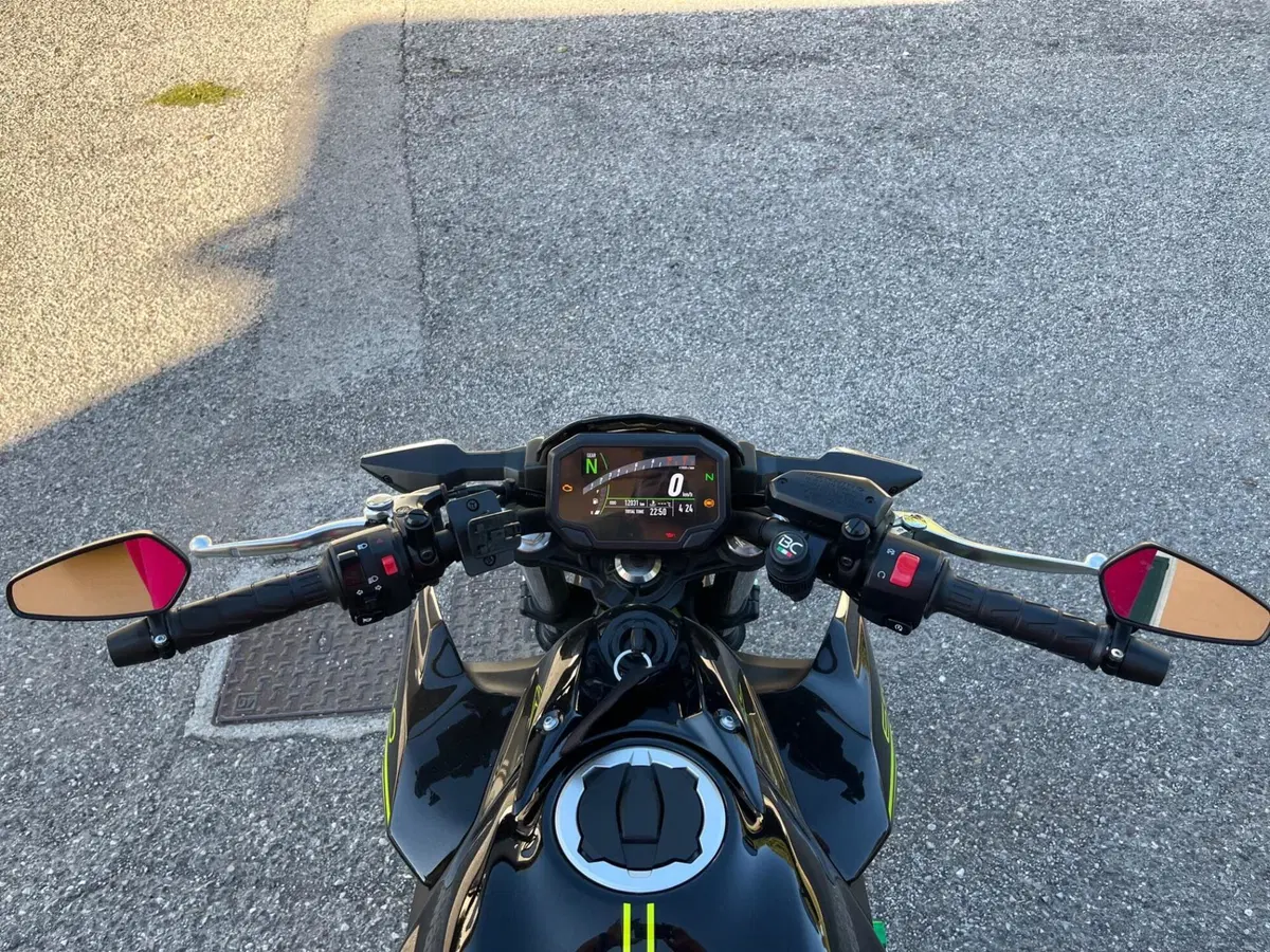Kawasaki Z 650 (2021 - 24) (11)