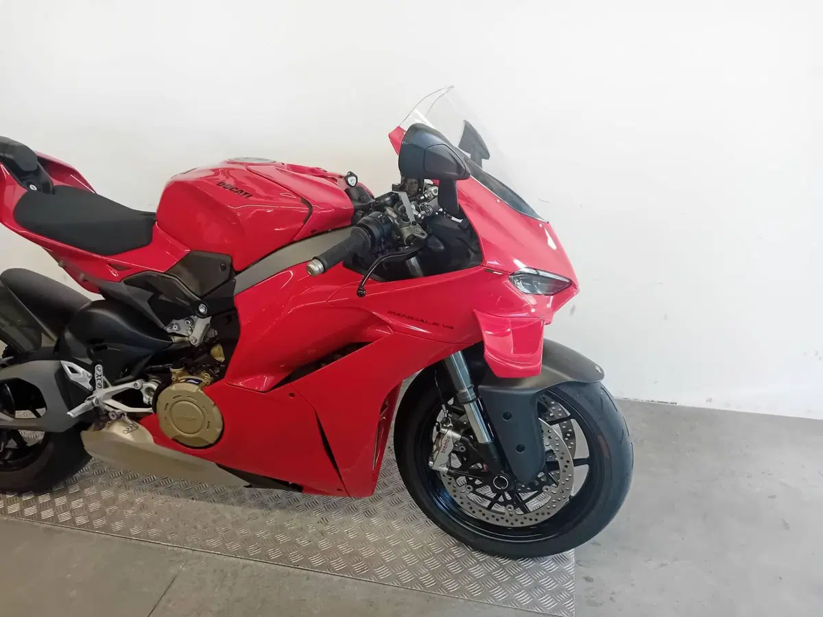 Ducati Panigale V4 (2025 - 26) (7)