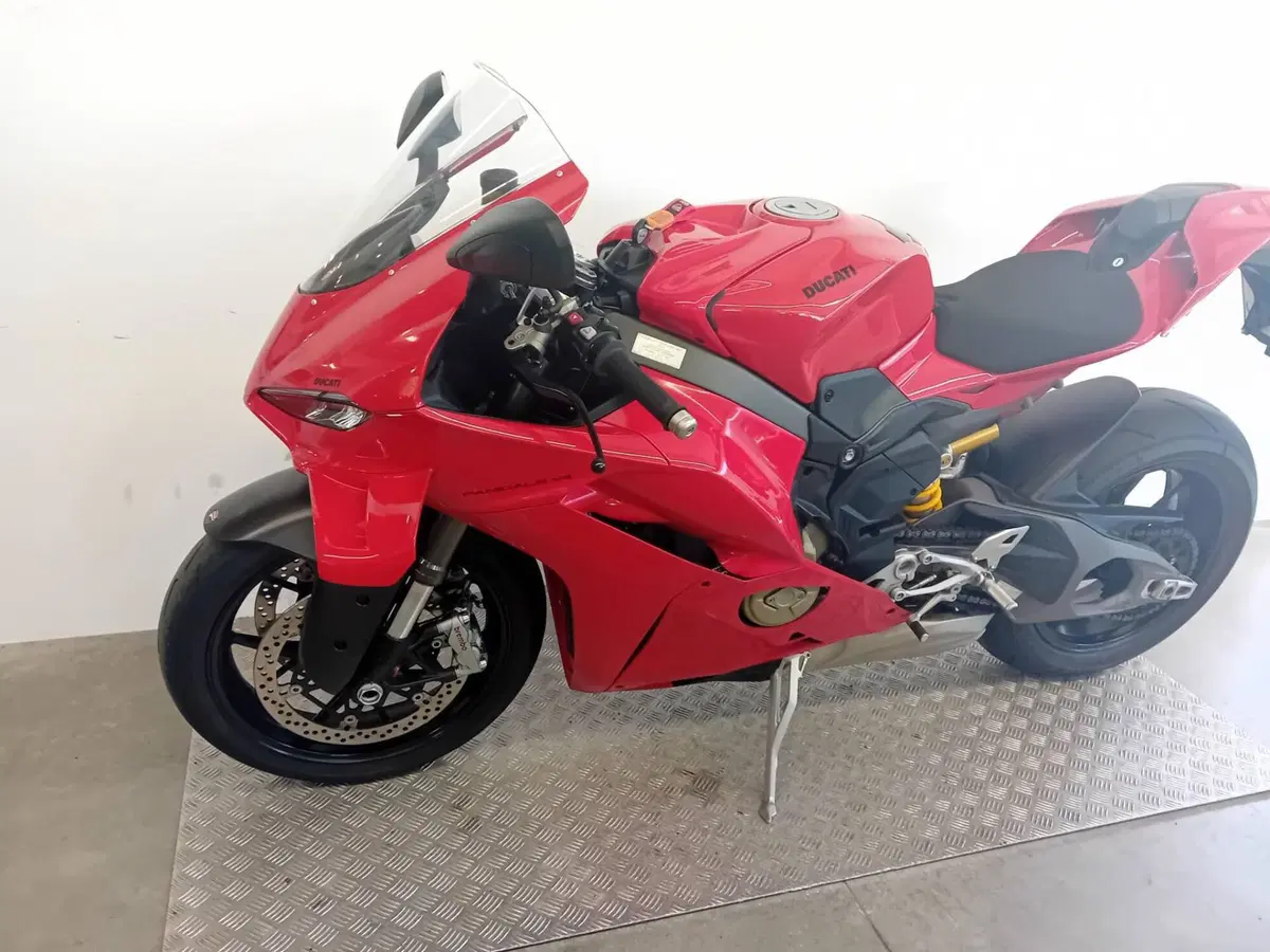 Ducati Panigale V4 (2025 - 26) (4)