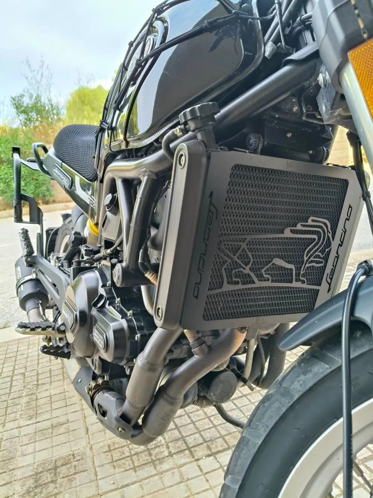 Benelli Leoncino 500 Trail ABS (2017 - 20) (10)