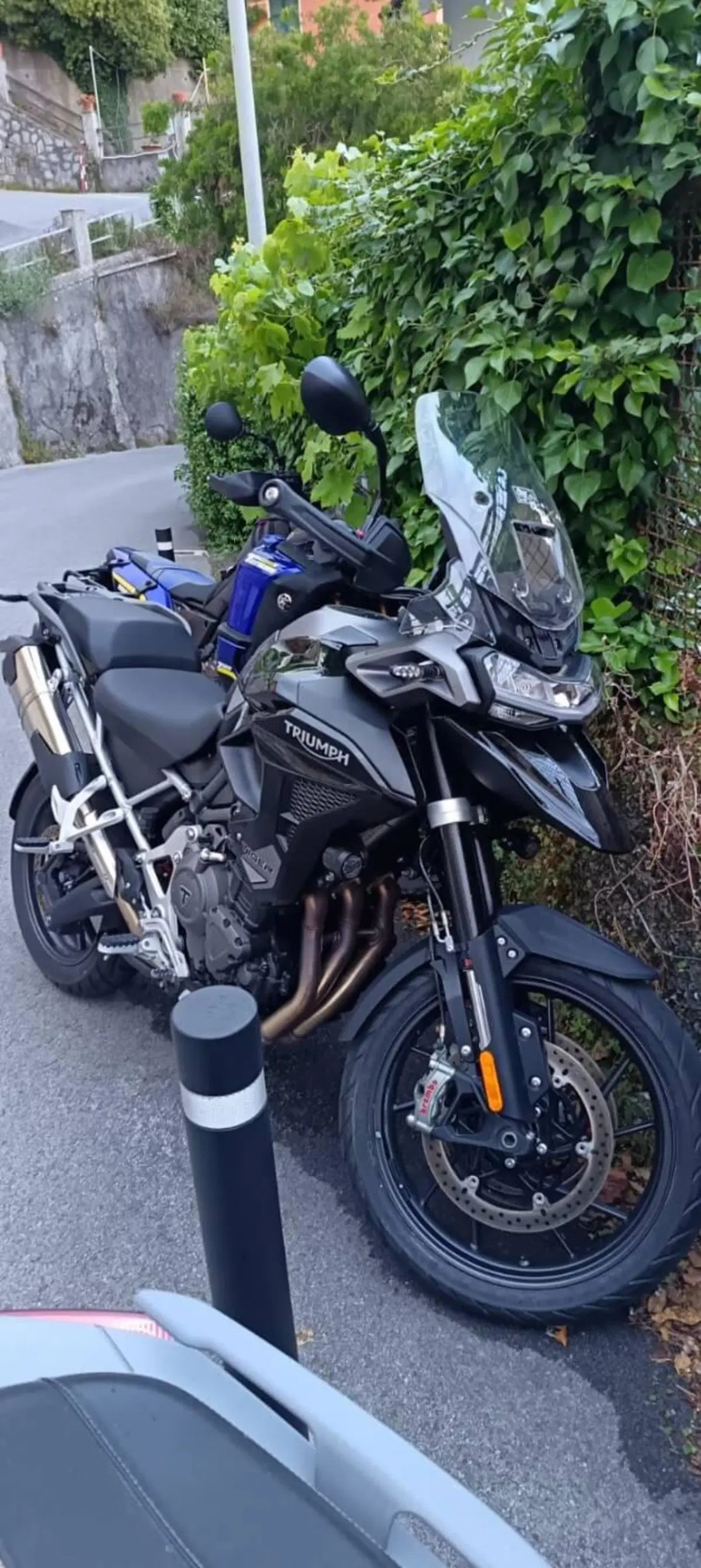 Triumph Tiger 1200 GT Pro (2024 - 26) (3)
