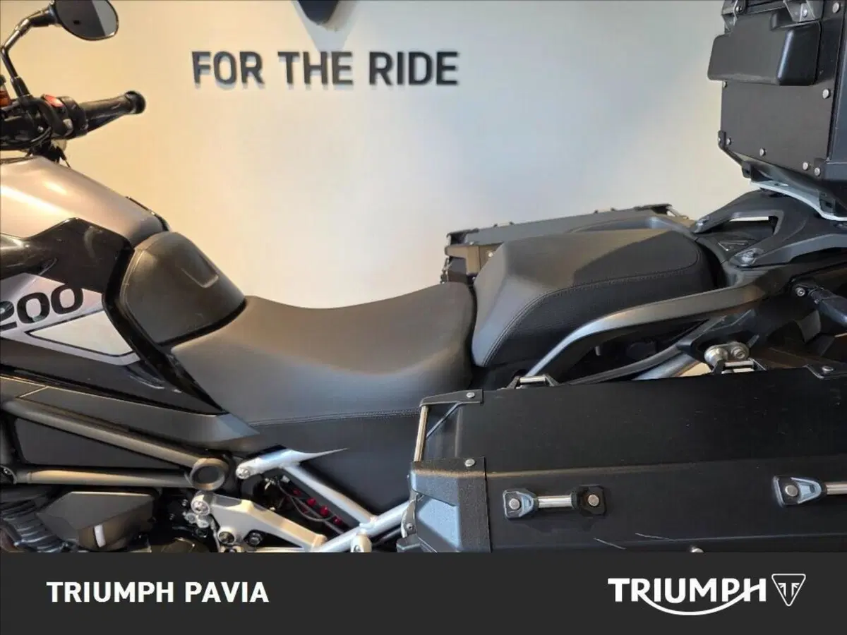 Triumph Tiger 1200 GT Pro (2022 - 23) (9)