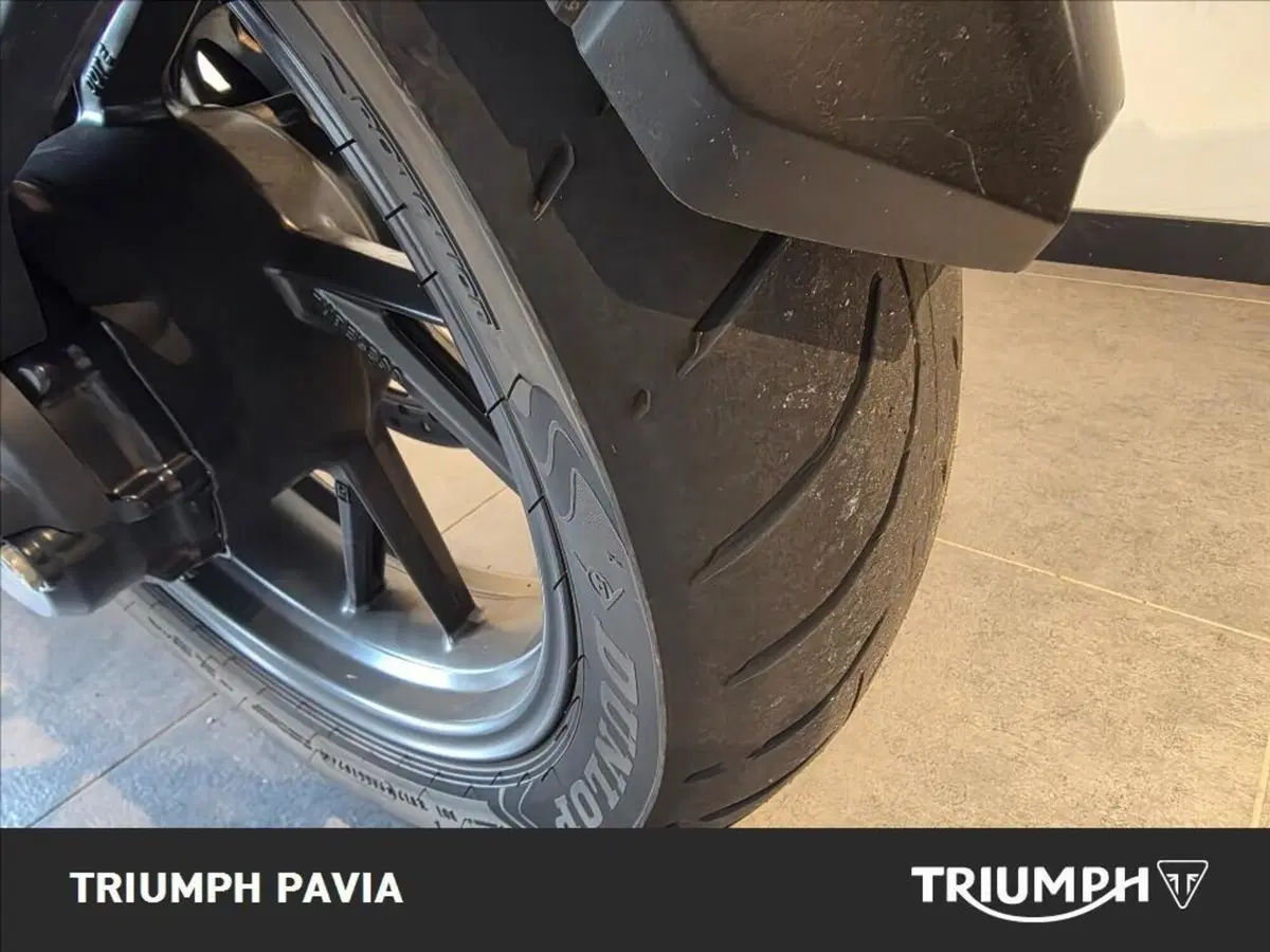 Triumph Tiger 1200 GT Pro (2022 - 23) (13)