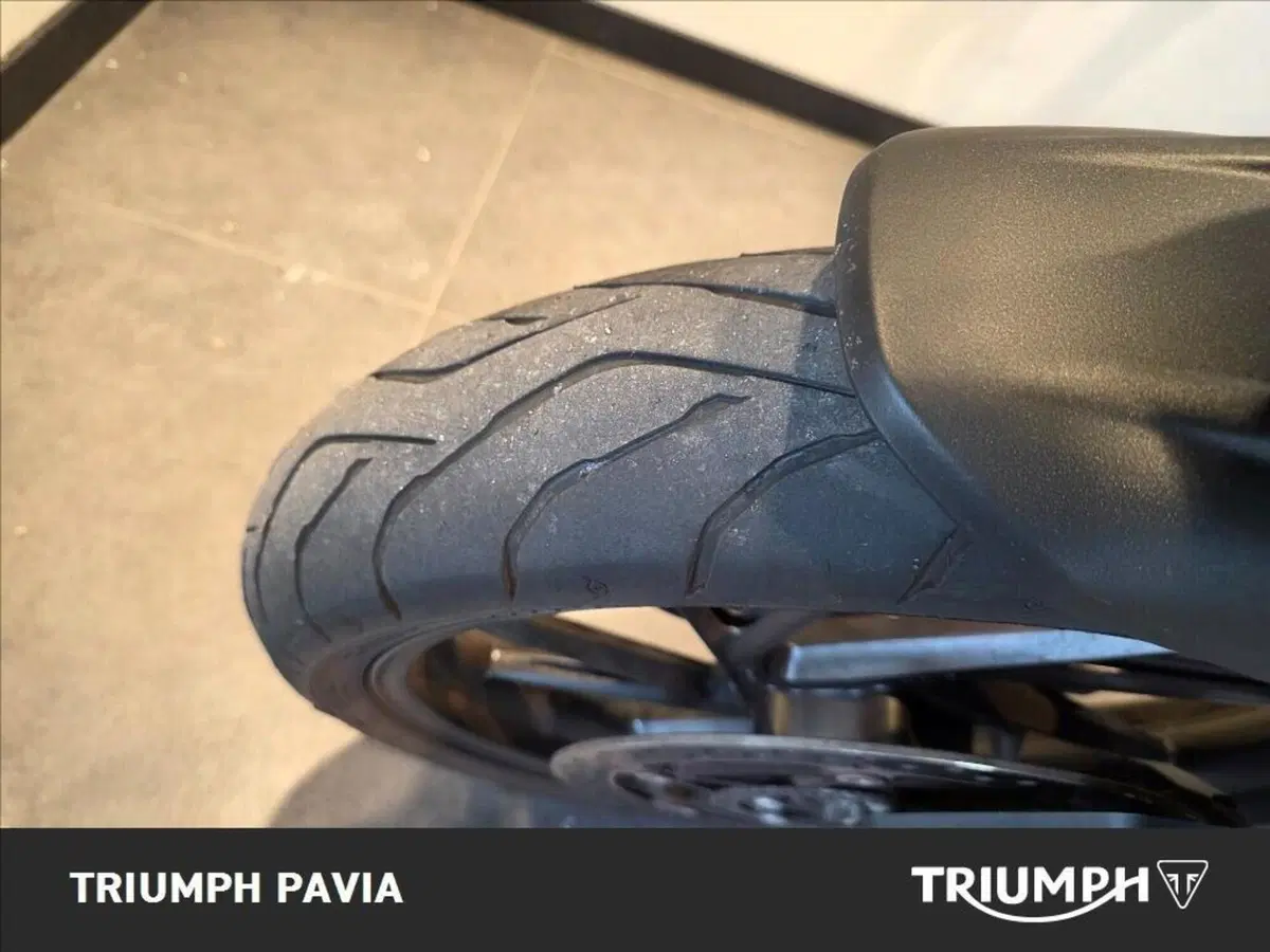 Triumph Tiger 1200 GT Pro (2022 - 23) (6)