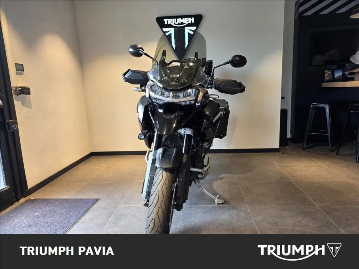 Triumph Tiger 1200 GT Pro (2022 - 23) (3)