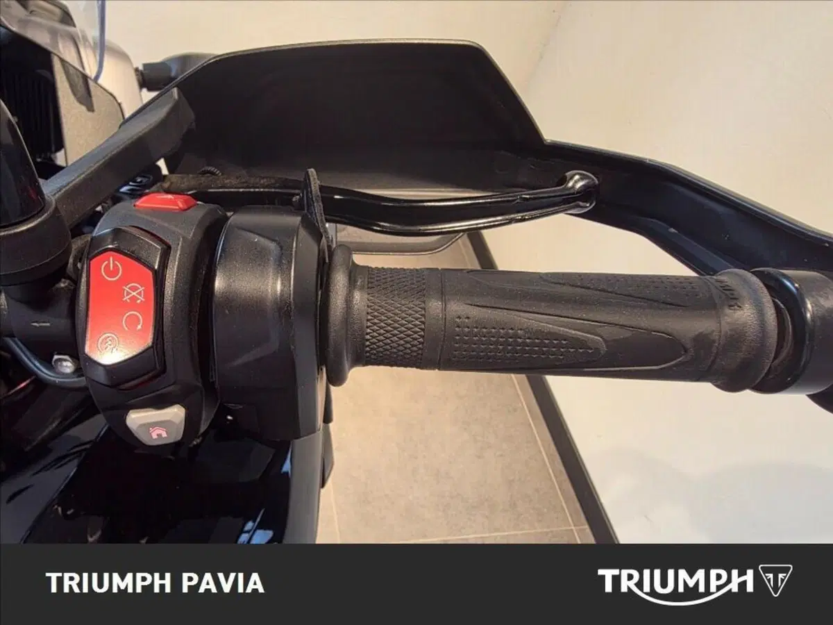 Triumph Tiger 1200 GT Pro (2022 - 23) (18)