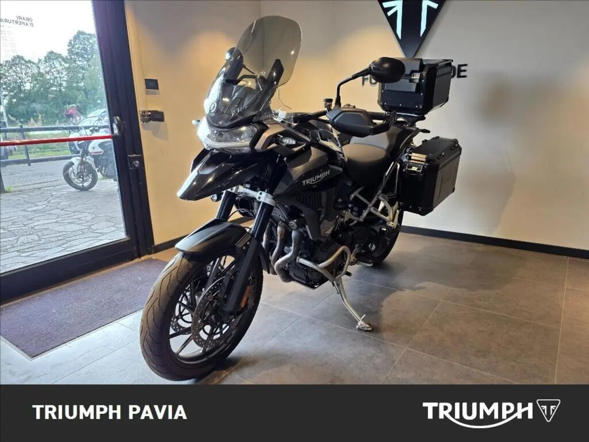 Triumph Tiger 1200 GT Pro (2022 - 23) (19)