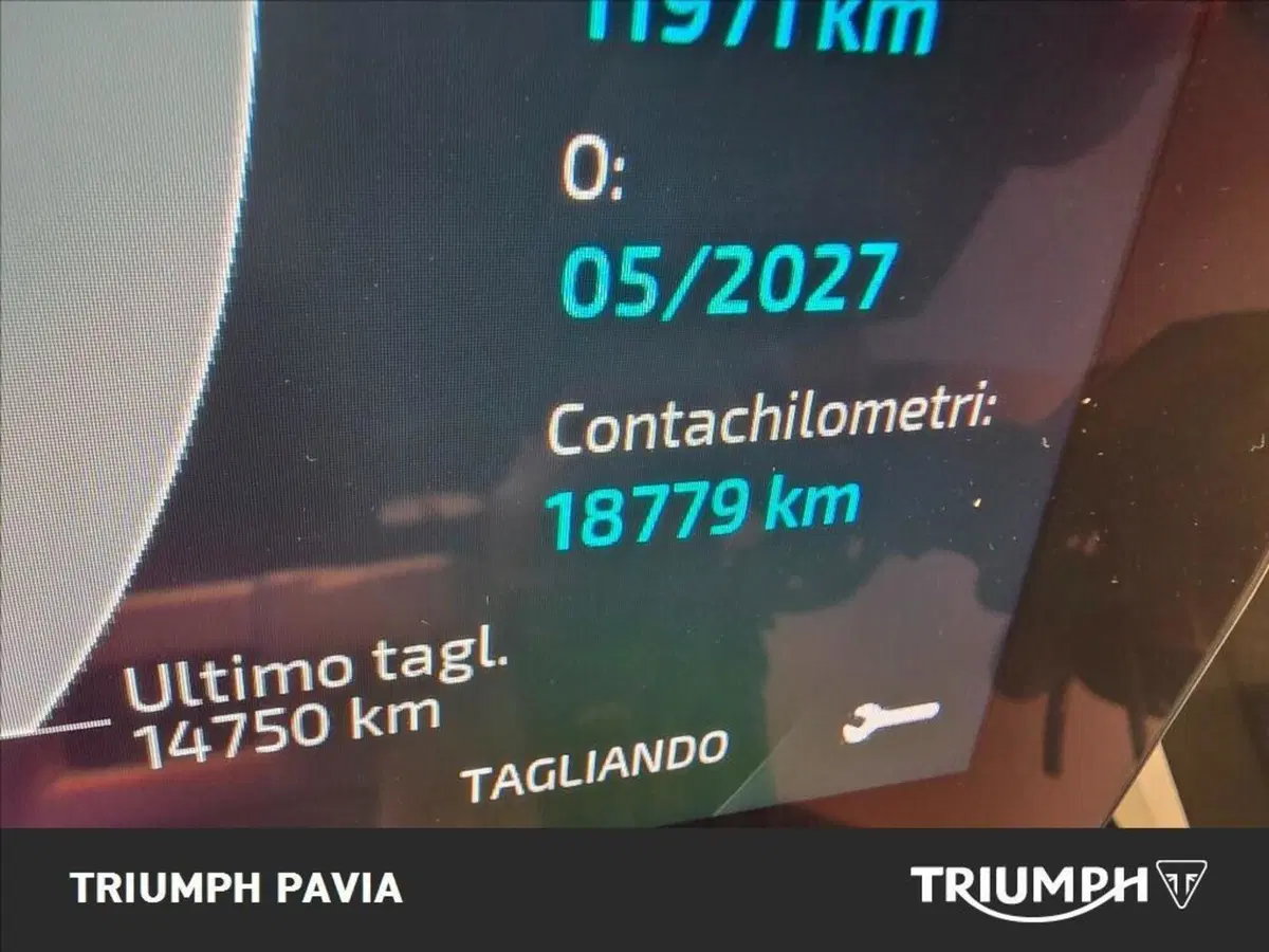 Triumph Tiger 1200 GT Pro (2022 - 23) (16)