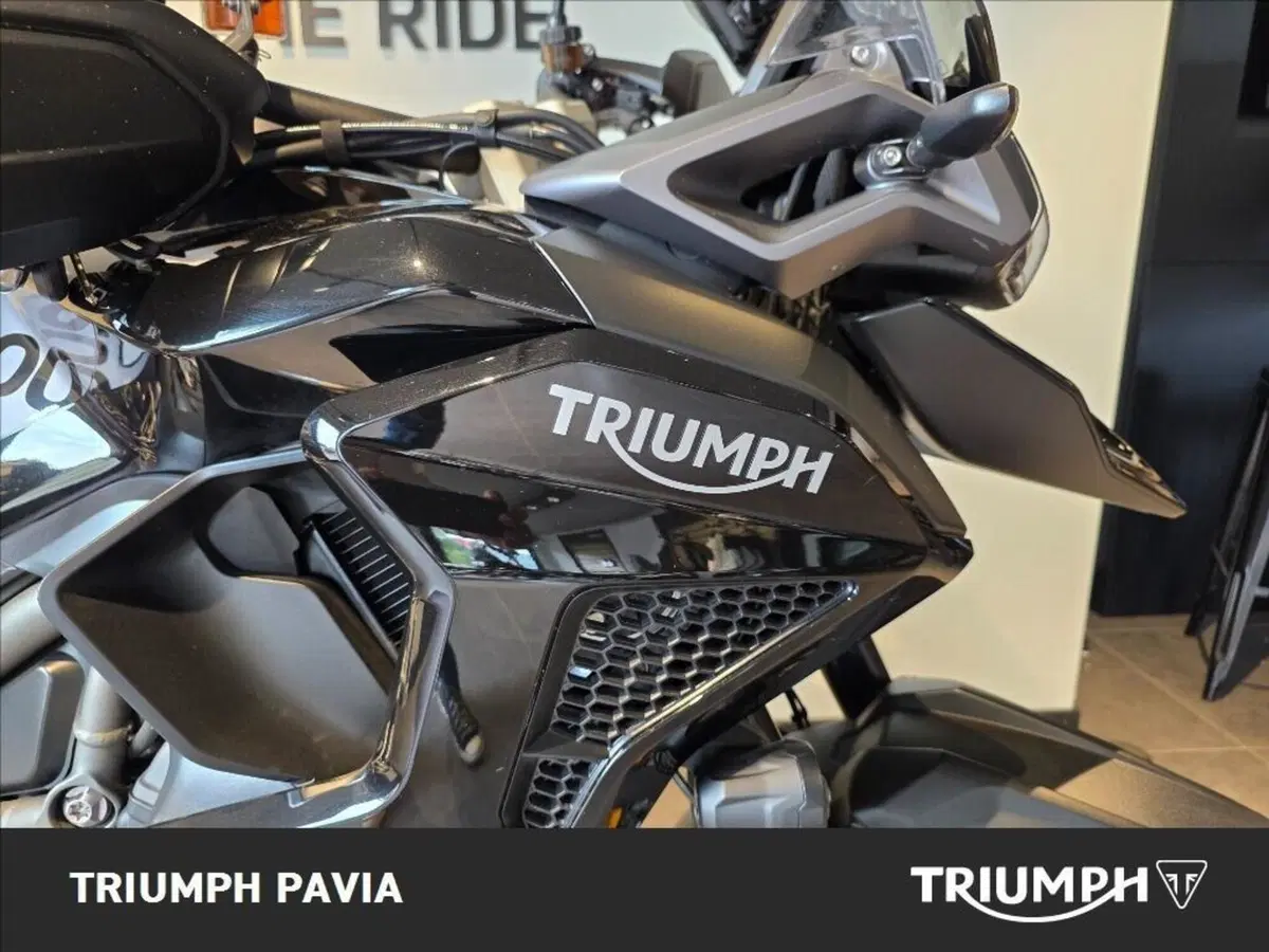 Triumph Tiger 1200 GT Pro (2022 - 23) (21)