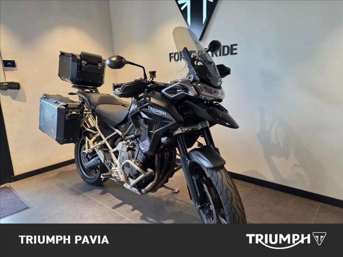 Triumph Tiger 1200 GT Pro (2022 - 23) (20)