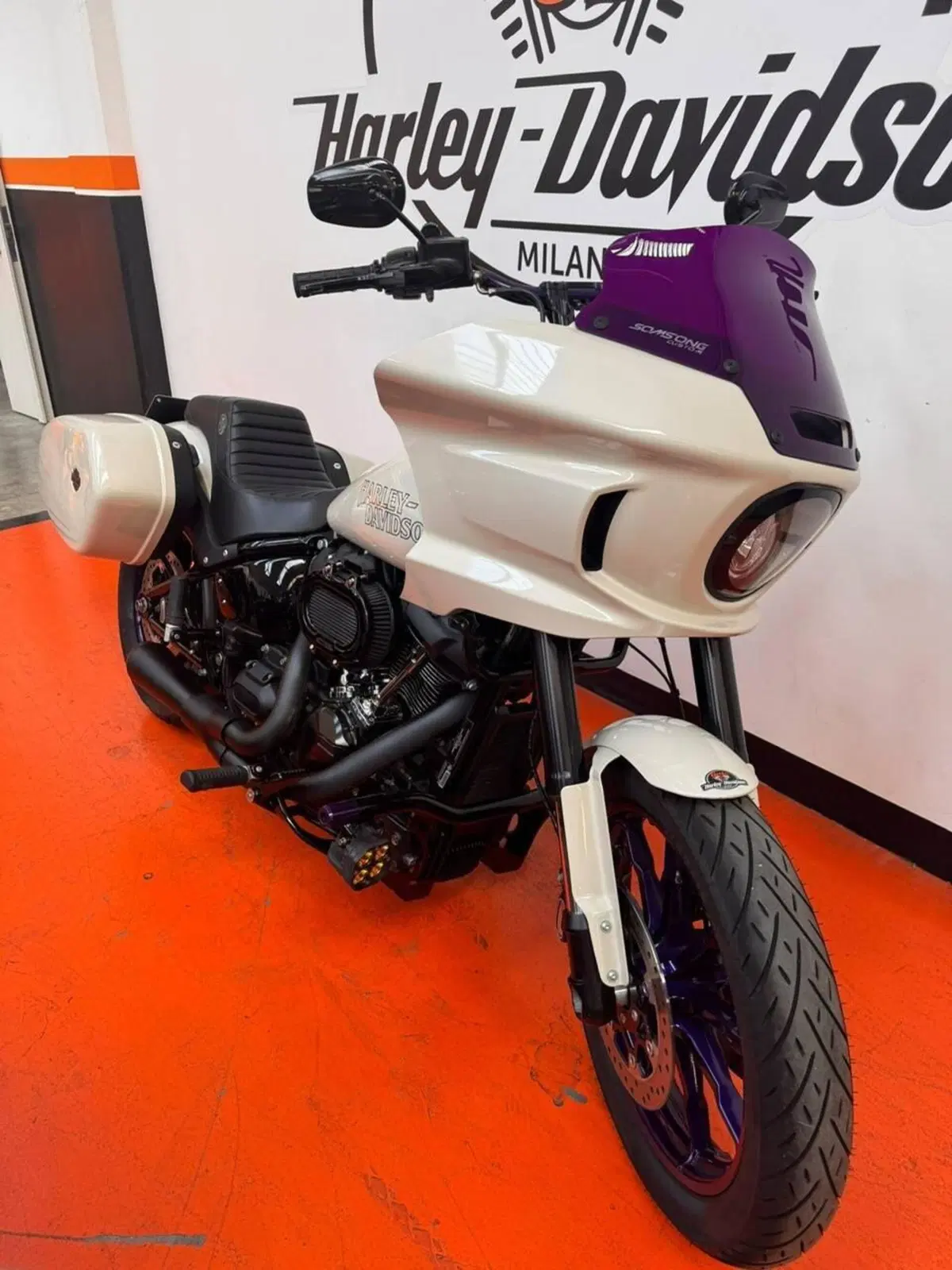 Harley-Davidson Low Rider ST (2022 - 24) (2)