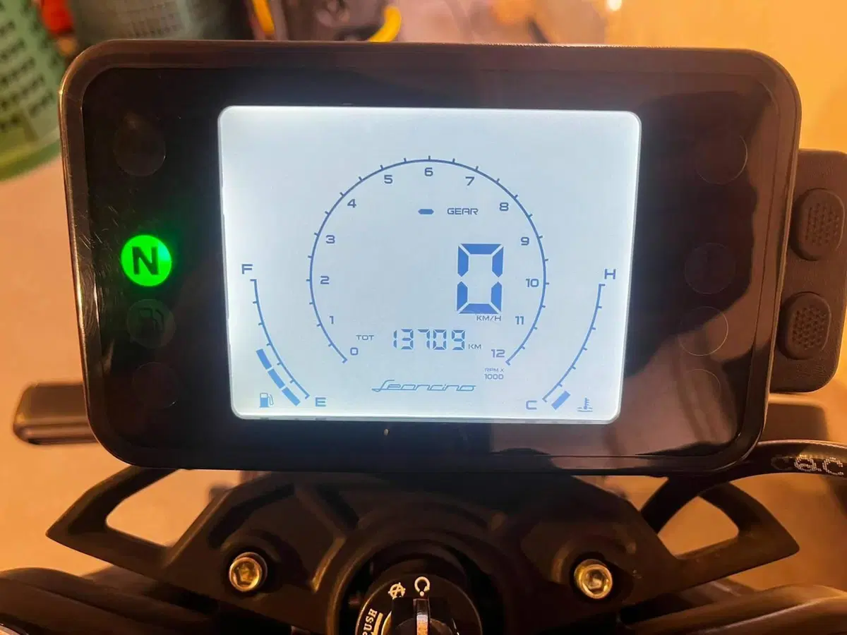 Benelli Leoncino 125 (2022 - 25) (3)